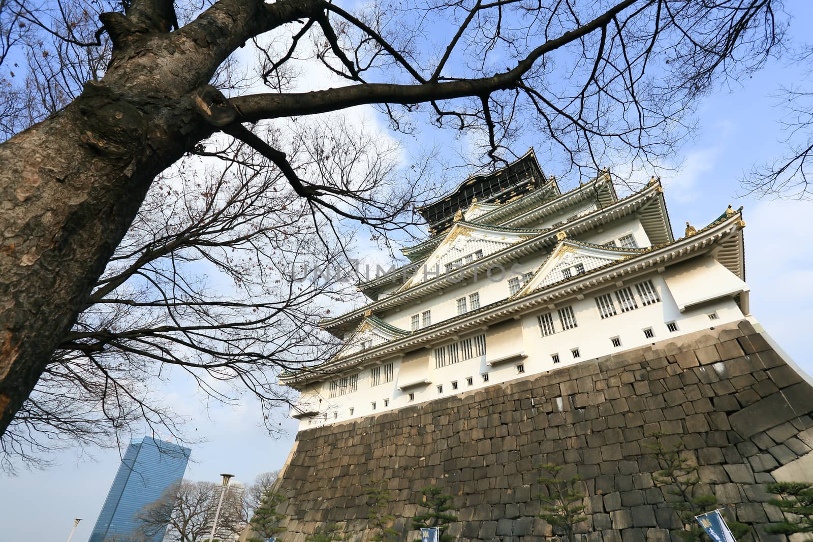 Osaka Castle in Osaka, Japan by rufous
