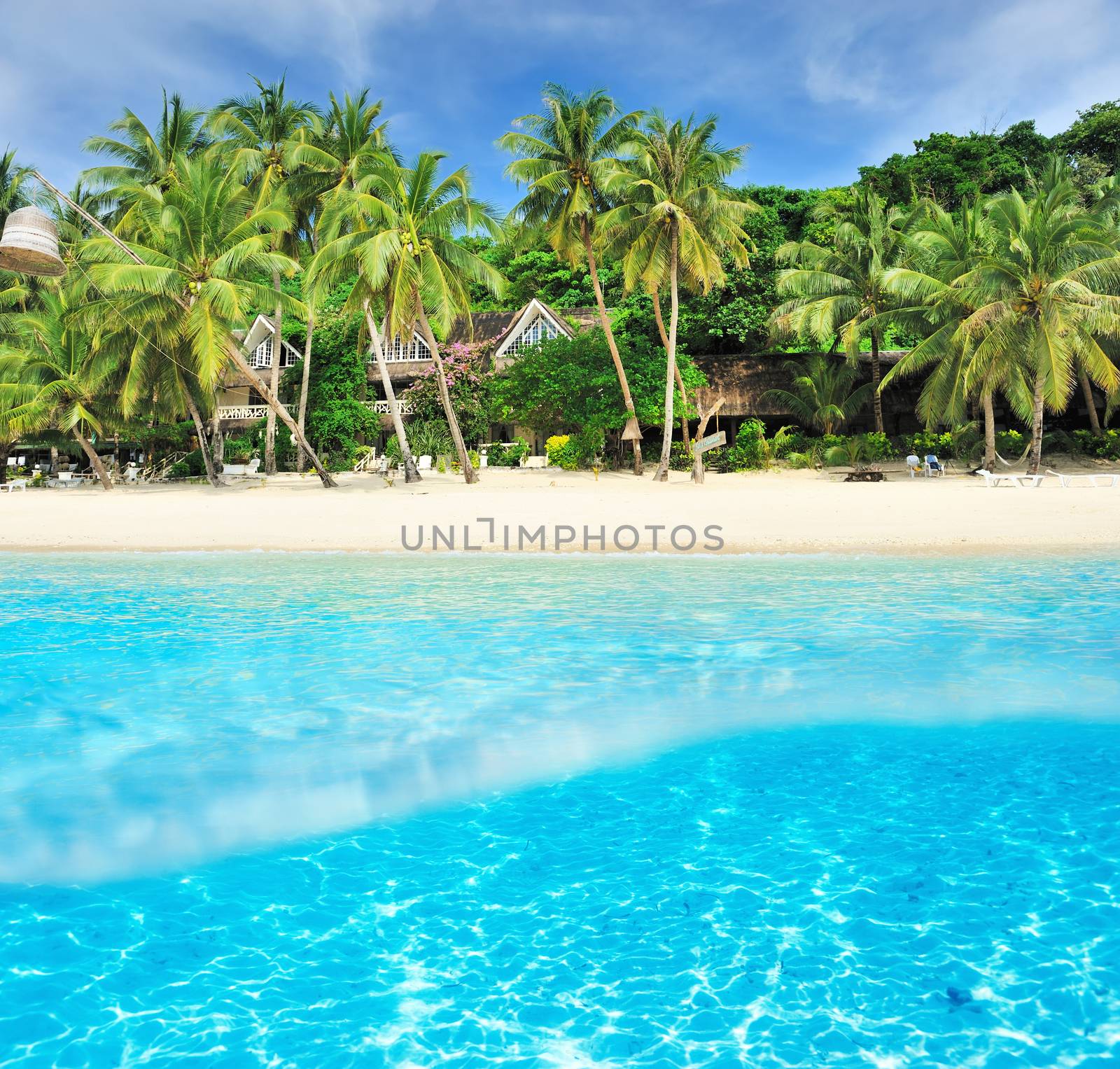 Beautiful beach with white sand bottom underwater and above water split view