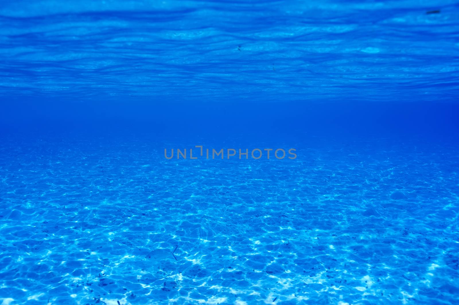 A white sand bottom in clear water at Maldives