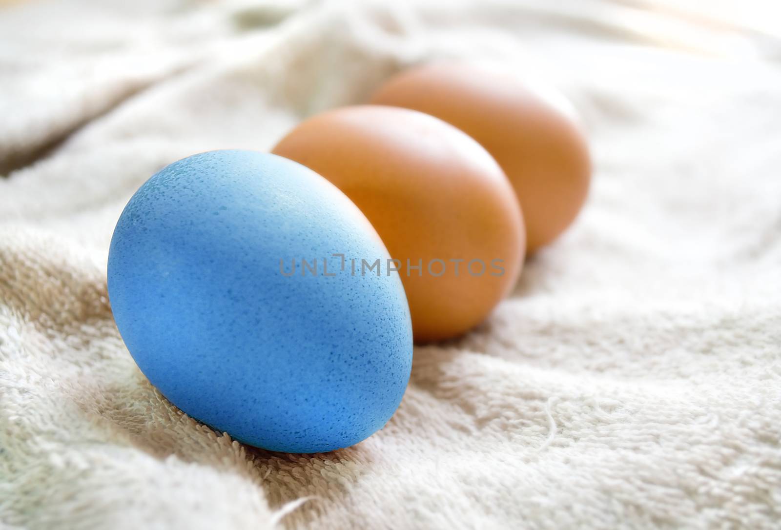 Colorful eggs by apichart