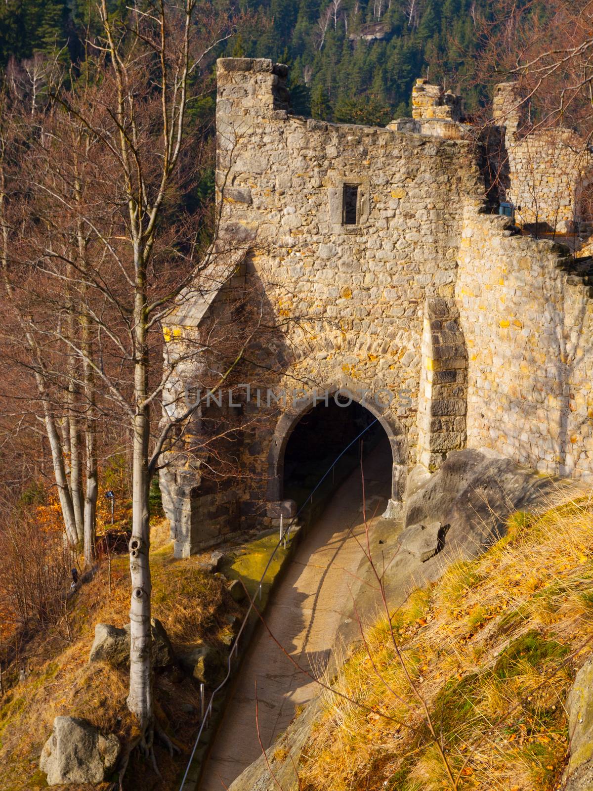 Old gate tower of Oybin Castle (Germany)
