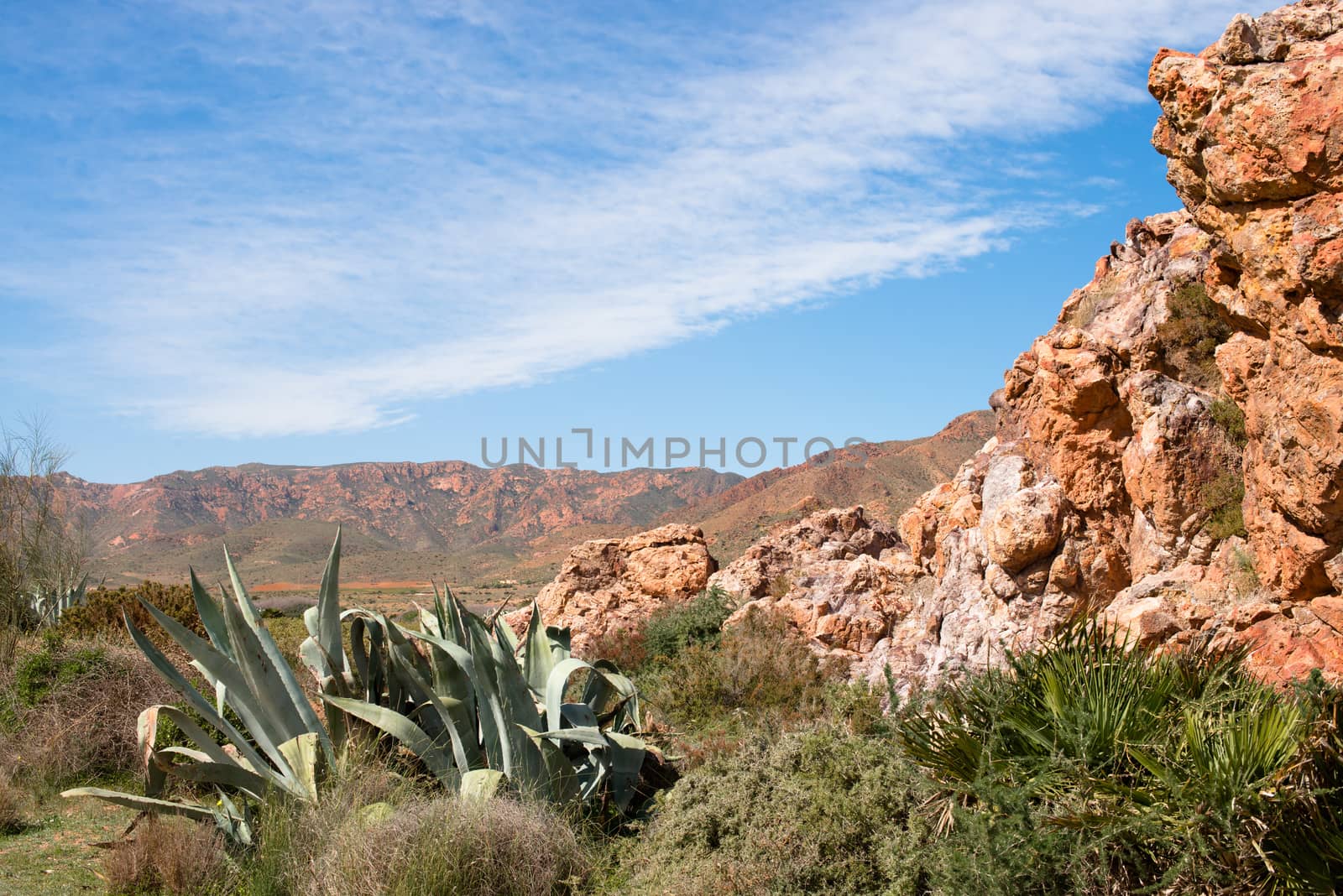 Arid desert planes in Cabo de Gata natural park, spain, 