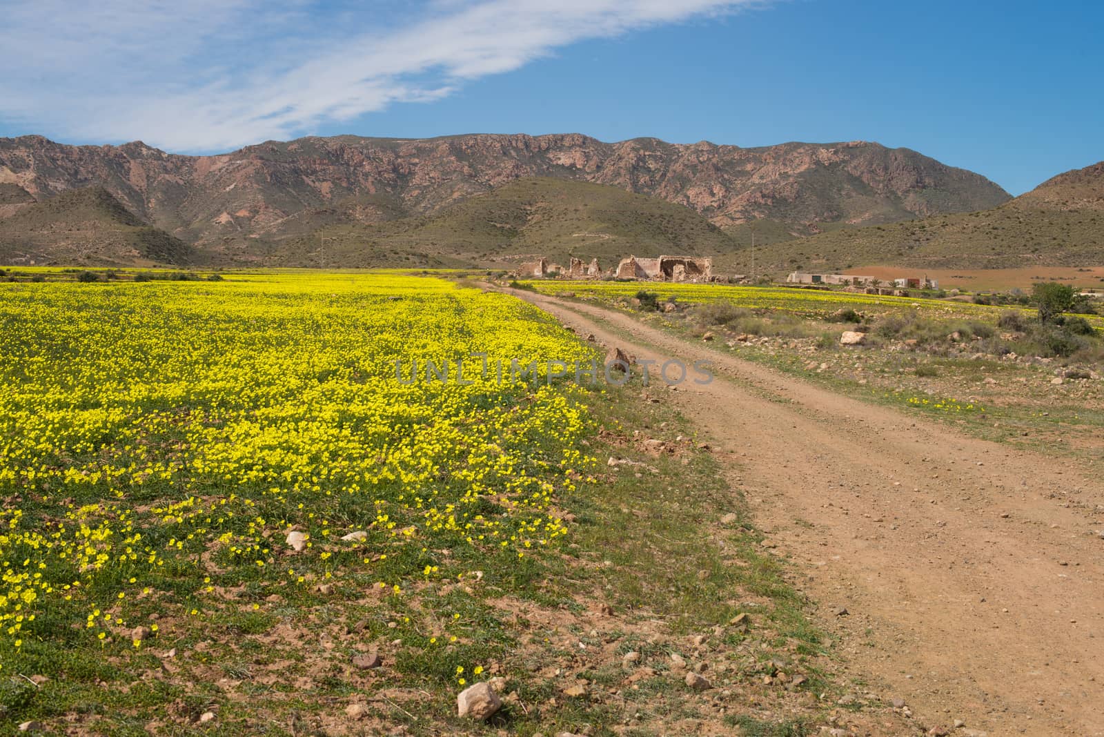 Andalusian spring by hemeroskopion