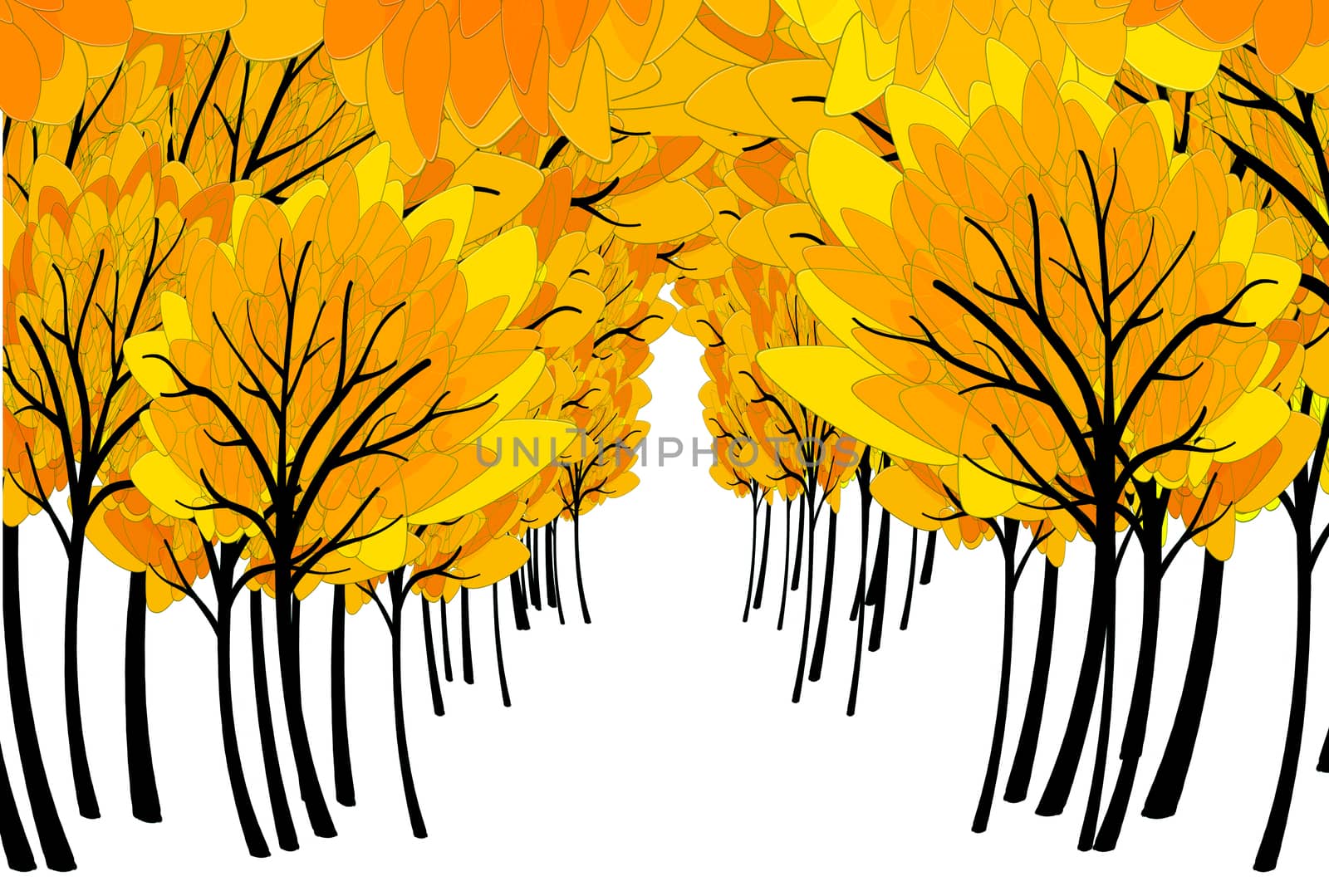 fall colored forest and copyspace