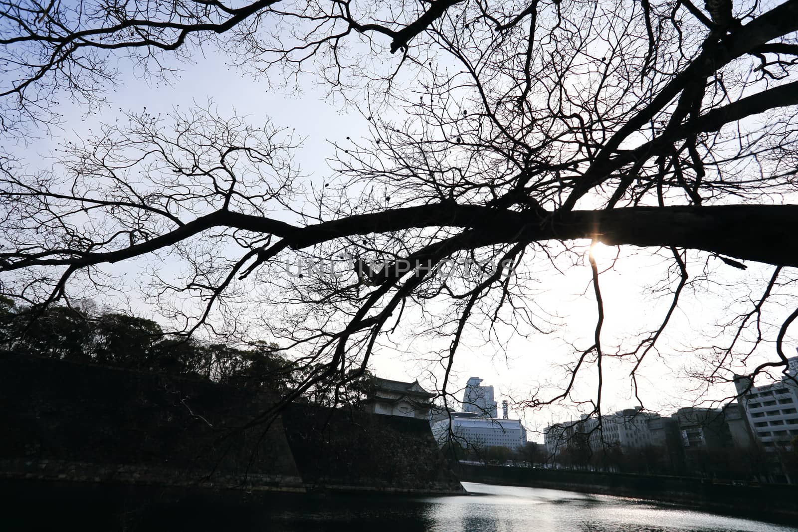 A moat surrounding Osaka castle in Japan, winter by rufous