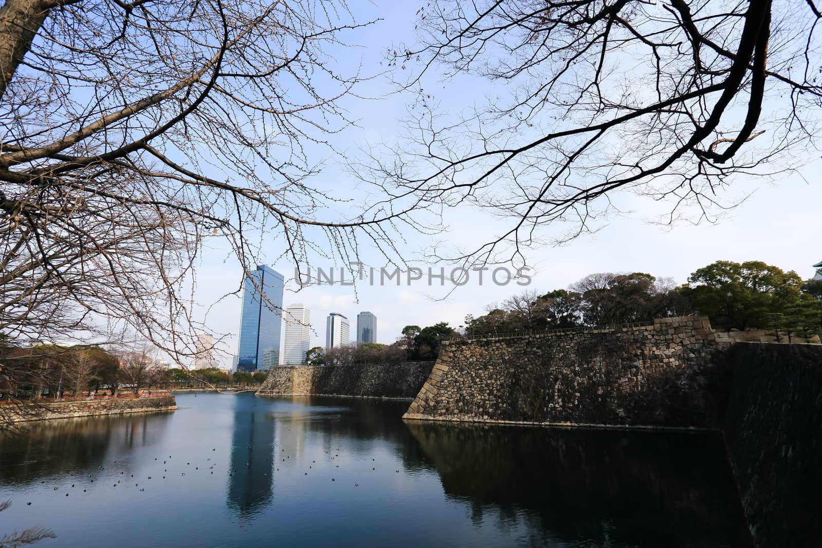 A moat surrounding Osaka castle in Japan, winter