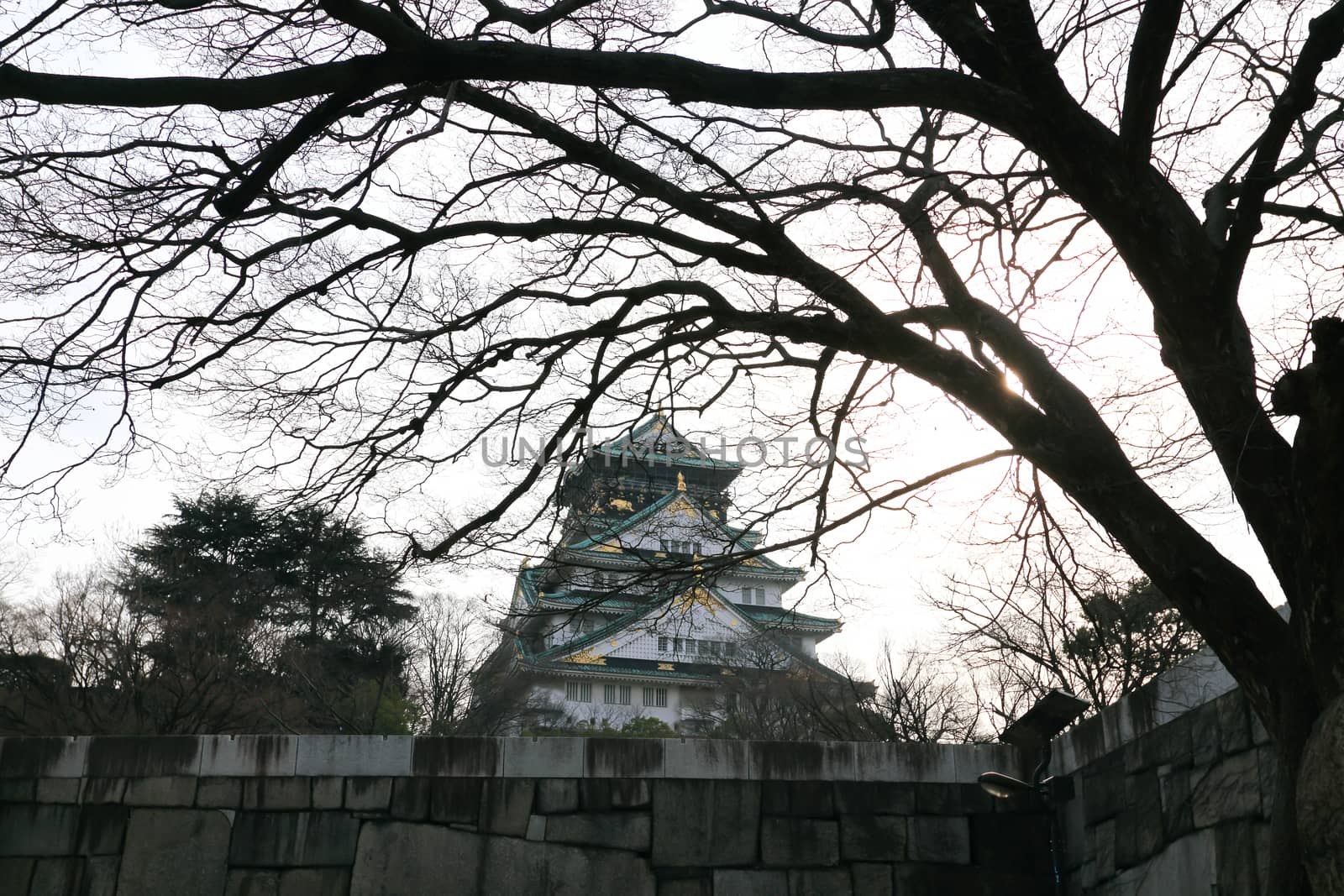 Osaka Castle in Osaka, Japan by rufous