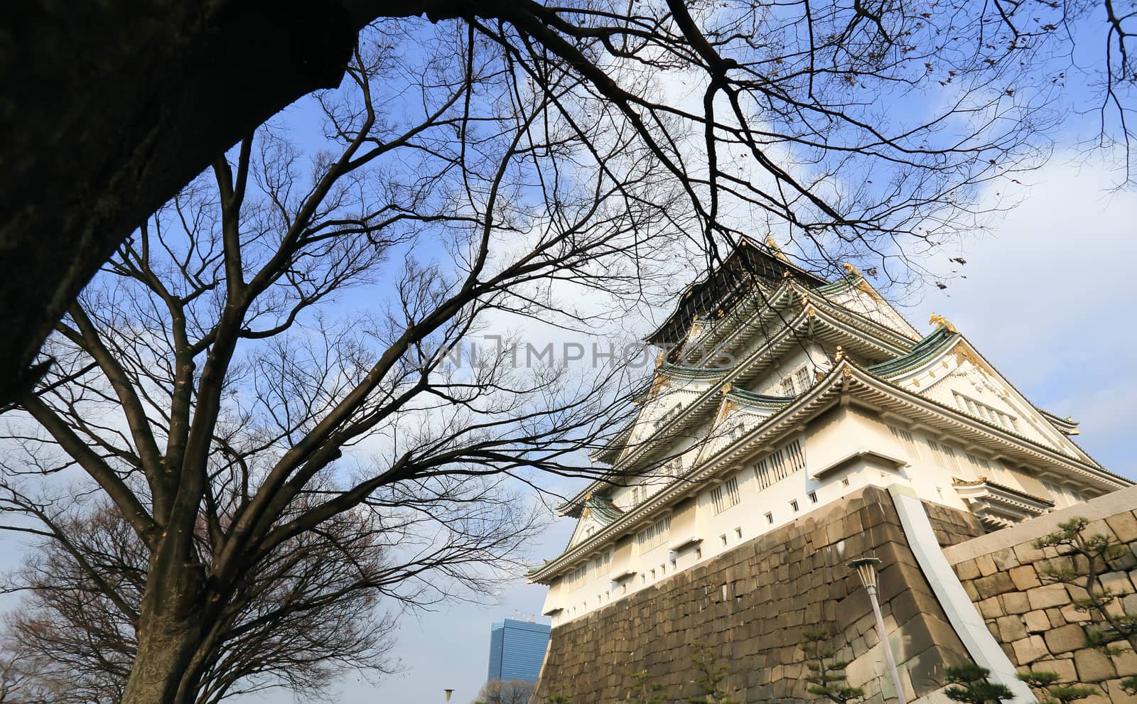 Osaka Castle in Osaka, Japan by rufous