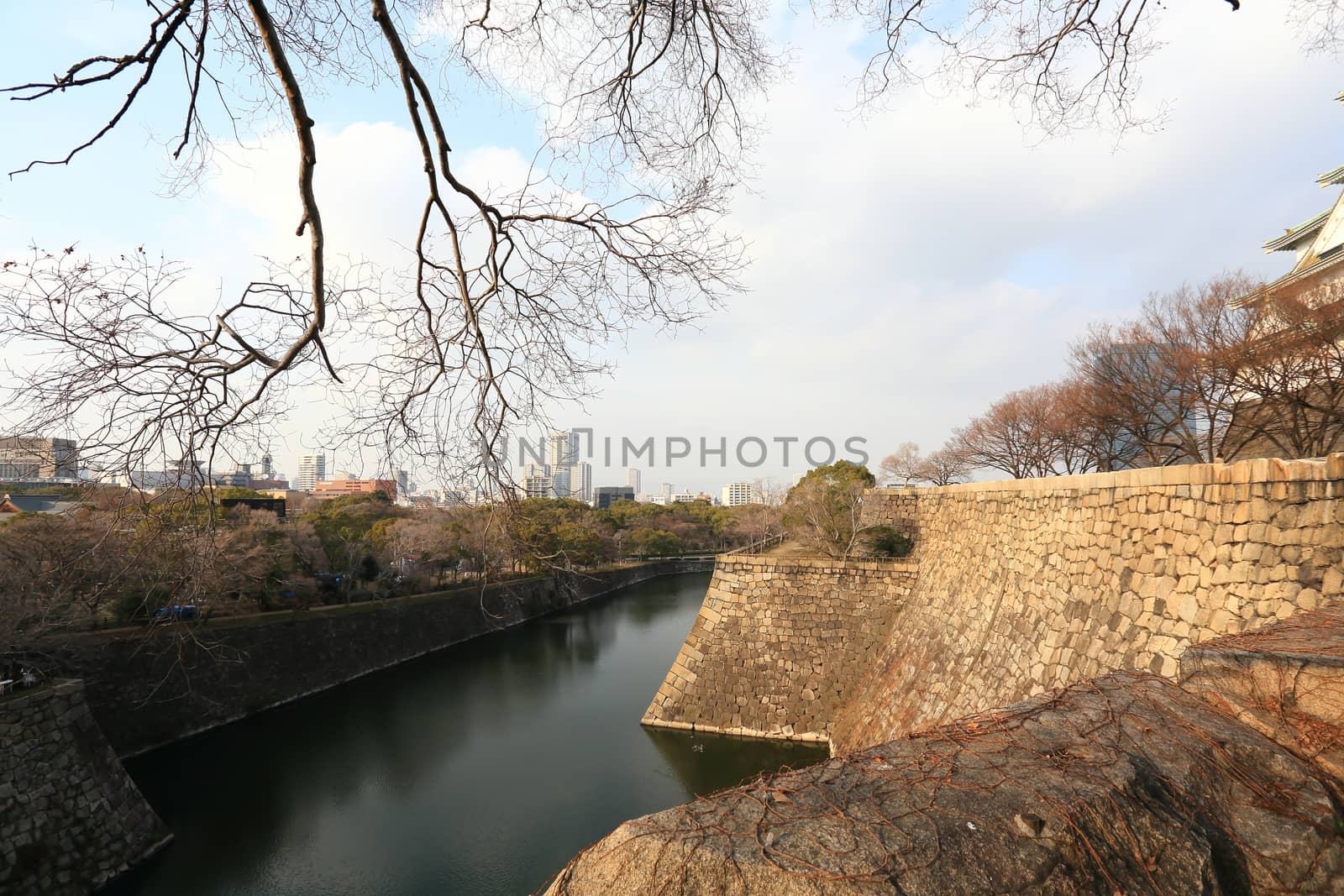 Osaka Castle in Osaka, Japan by rufous