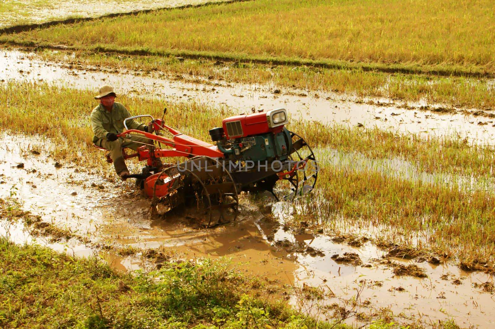 DAKLAK, VIET NAM- SEPTEMBER 5: Farmer driving farm tractor to ploughing on rice field in Daklak, Viet Nam, September 5, 2012                 