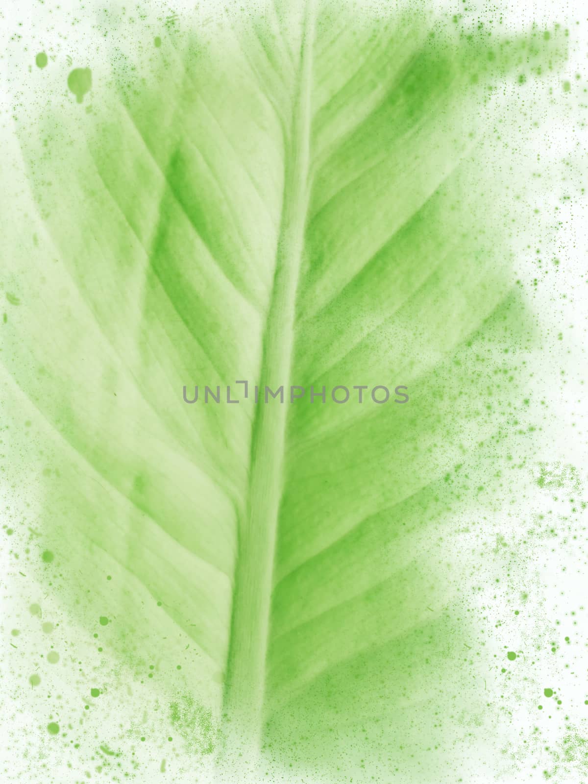 vertical painted green leaf abstract background