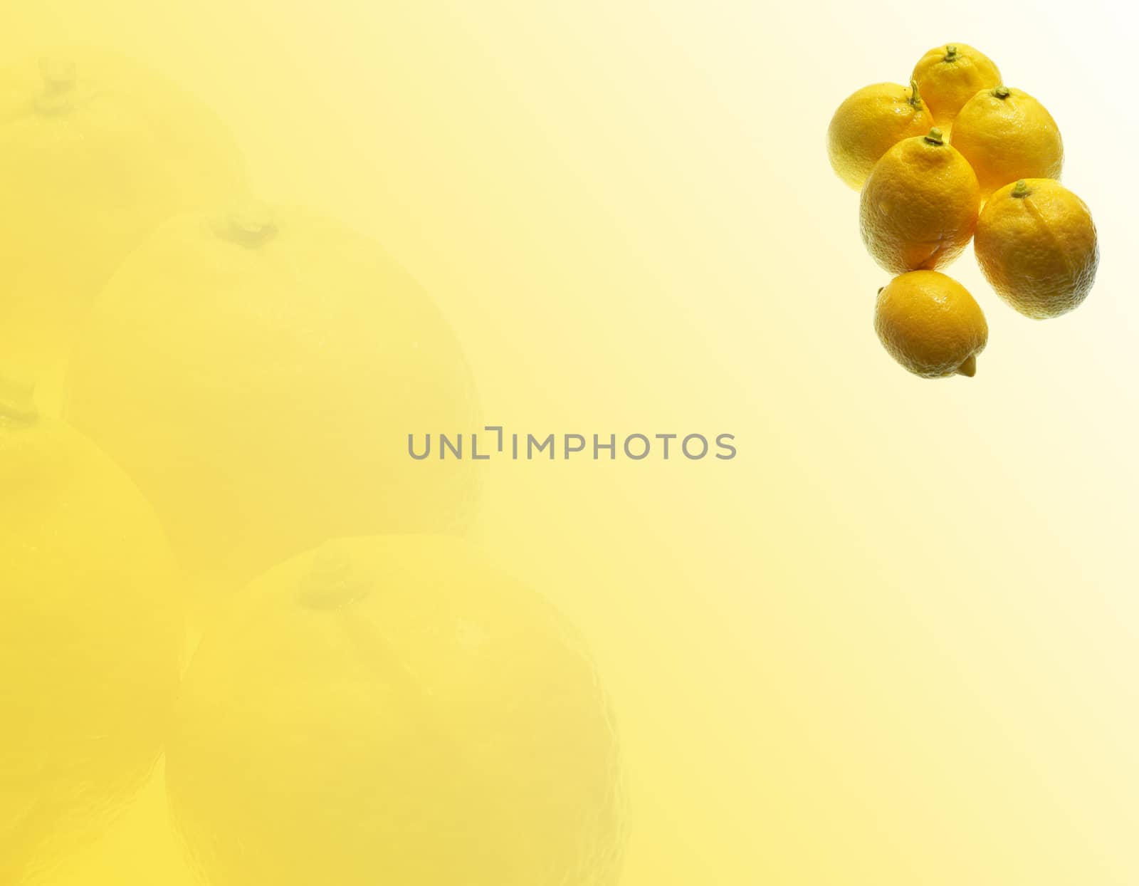 six fresch  lemons on abstract yellow background