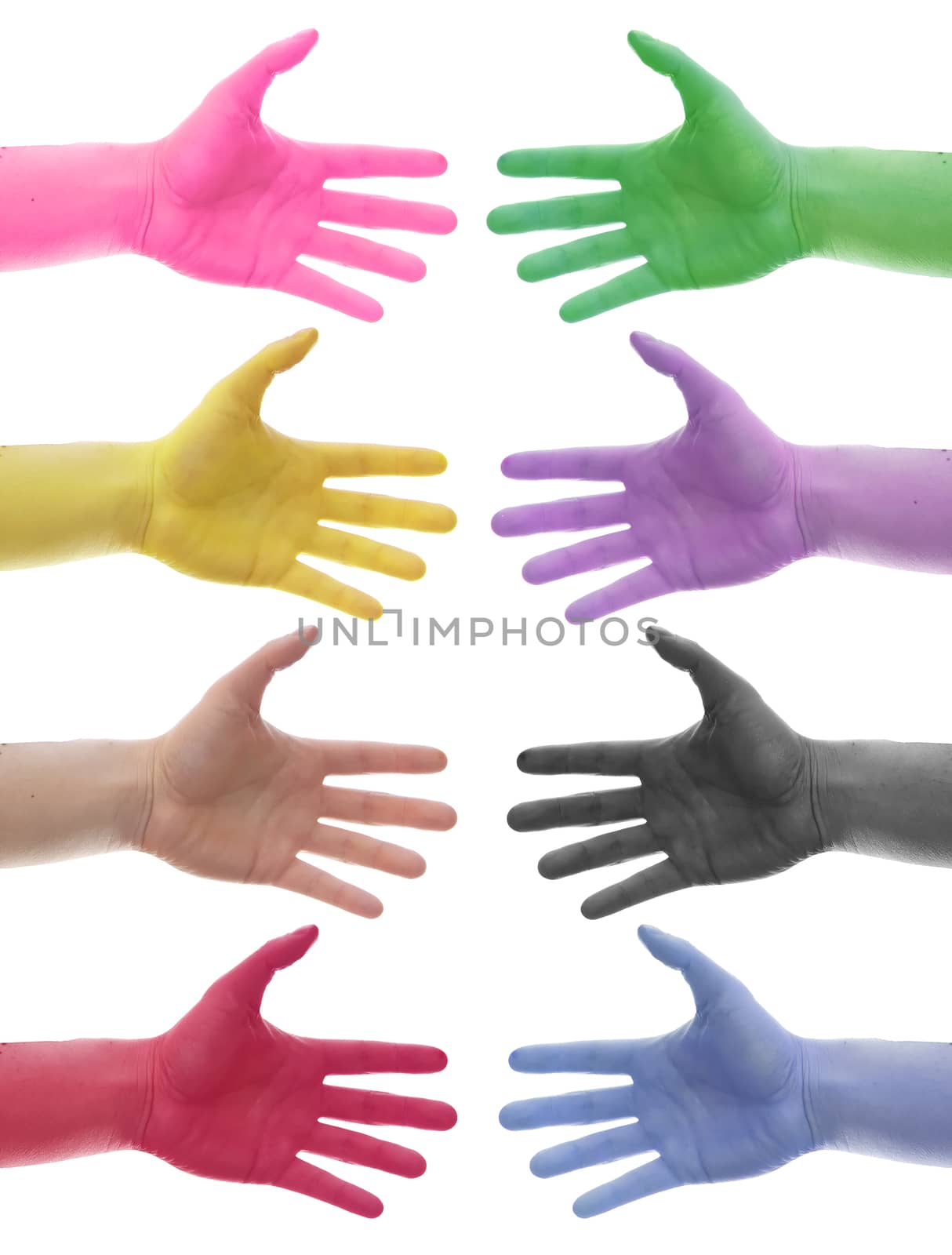 eight differrent colors hands on white background