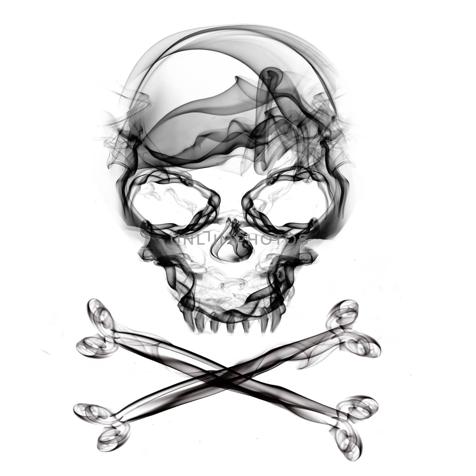 pirate skull isolated on white background by sette