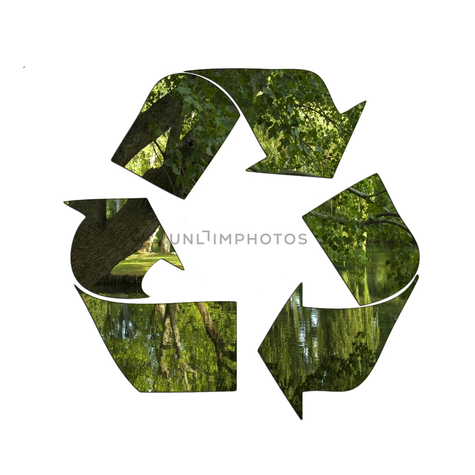 green recycle symbol isolated on white background