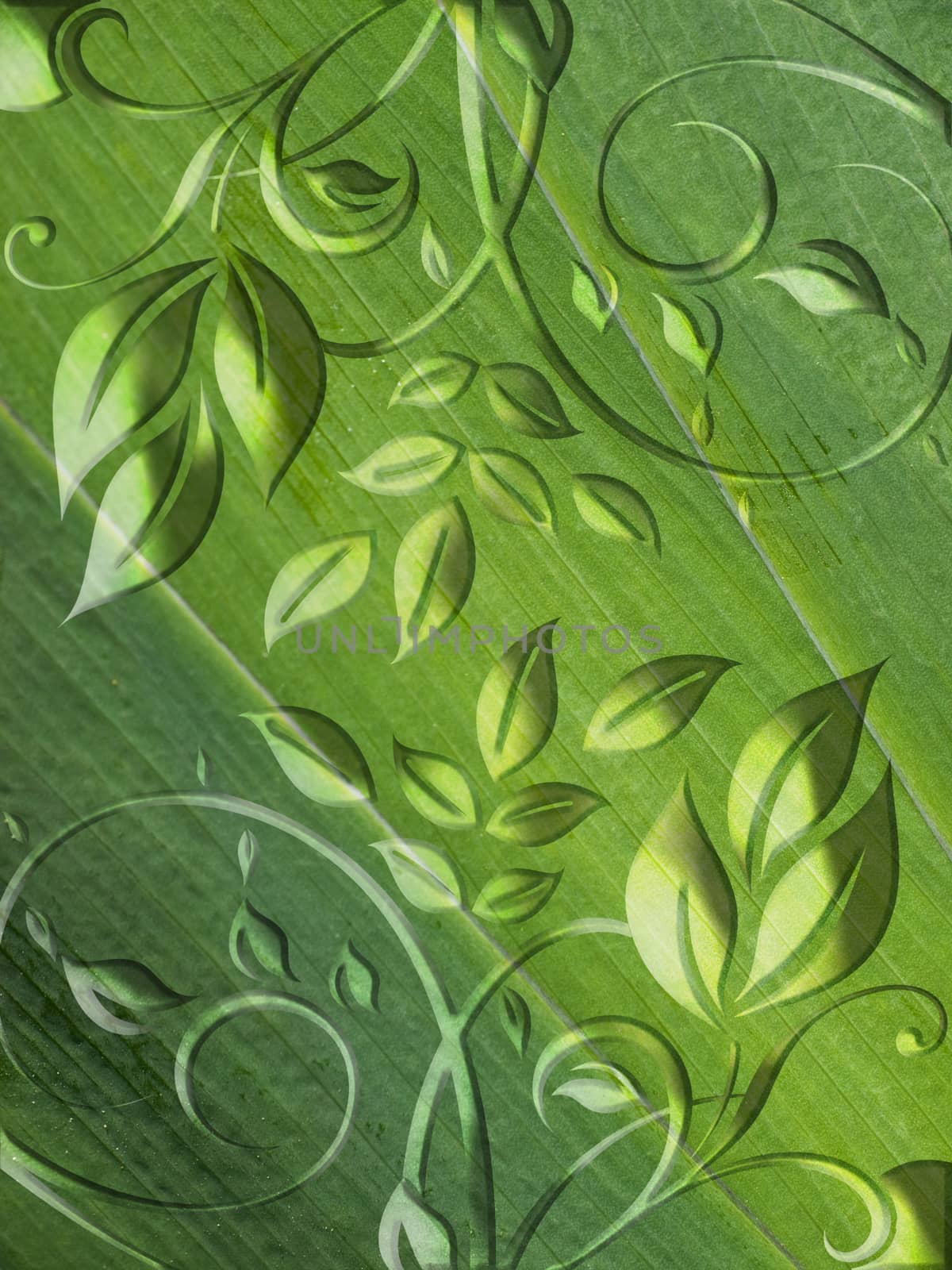 green floral abstract background by sette