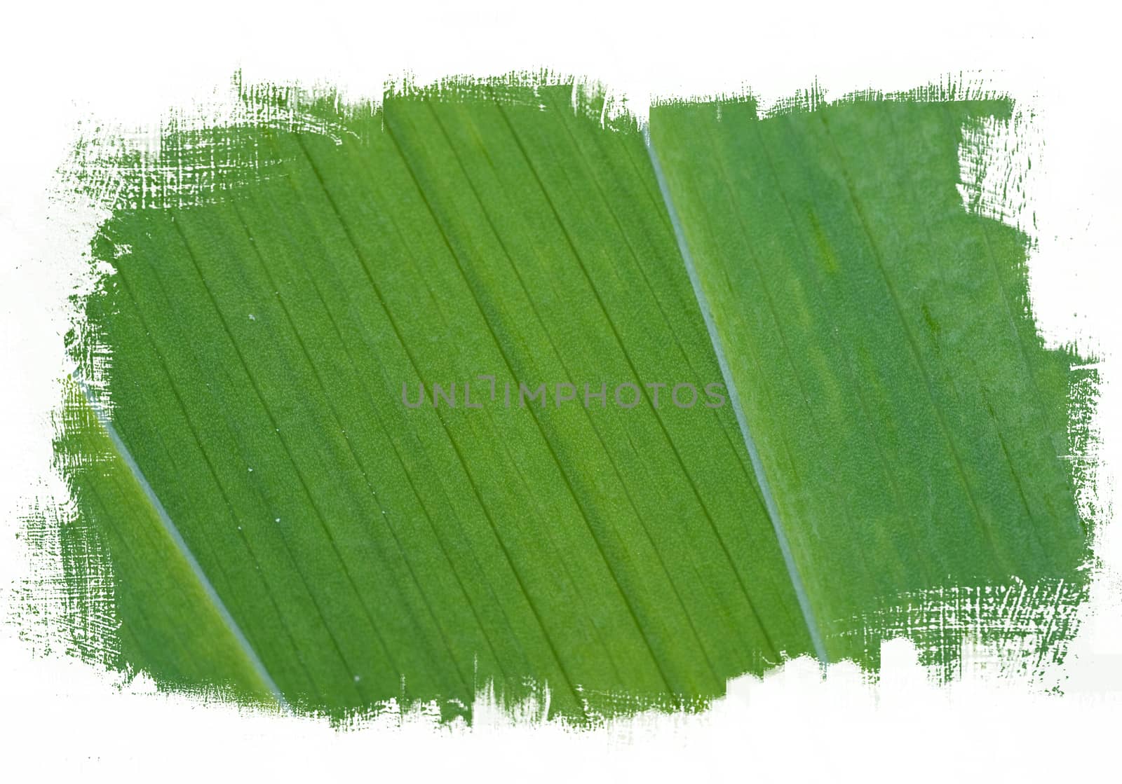 green paint abstract background