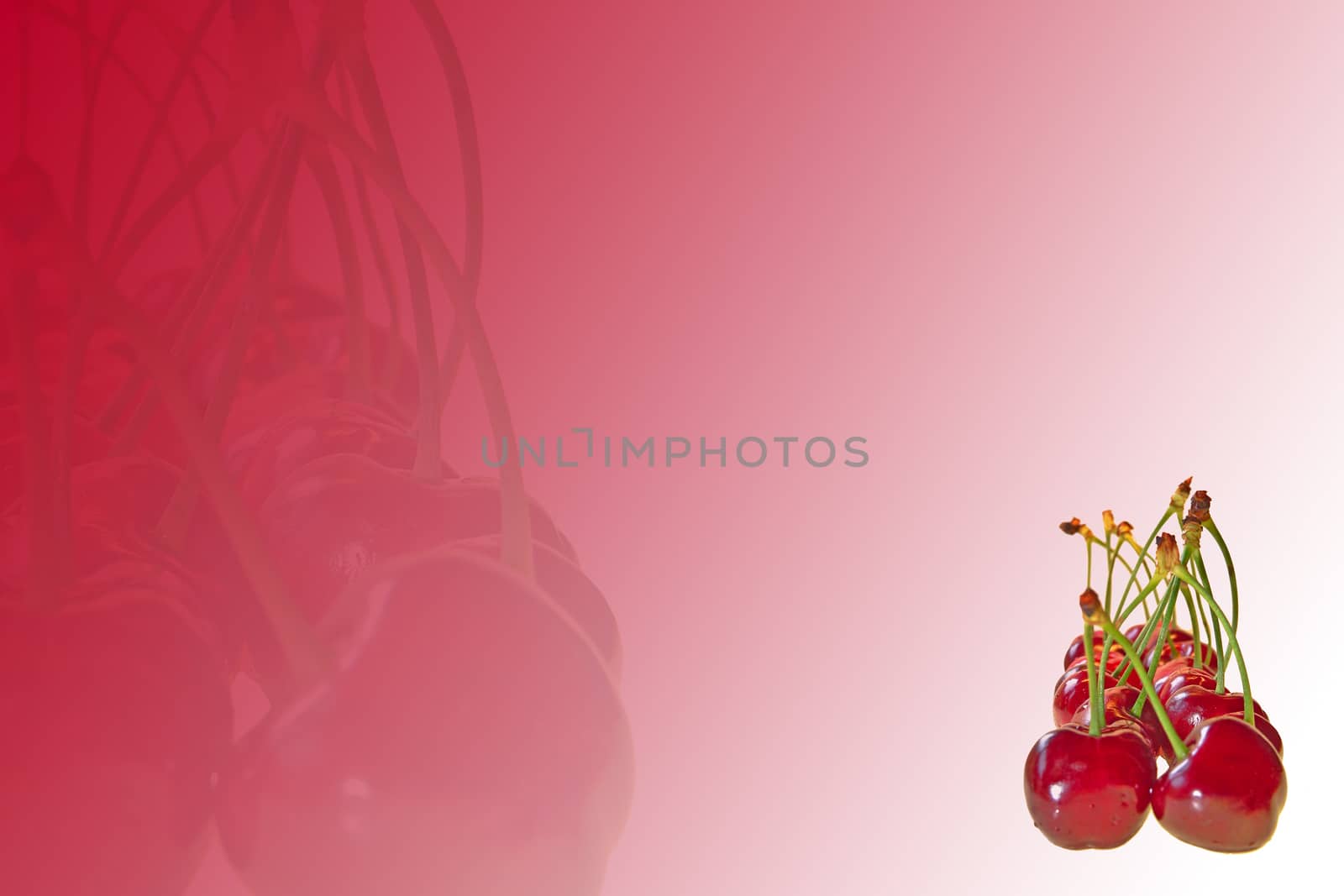 a few red cherries on red abstract background