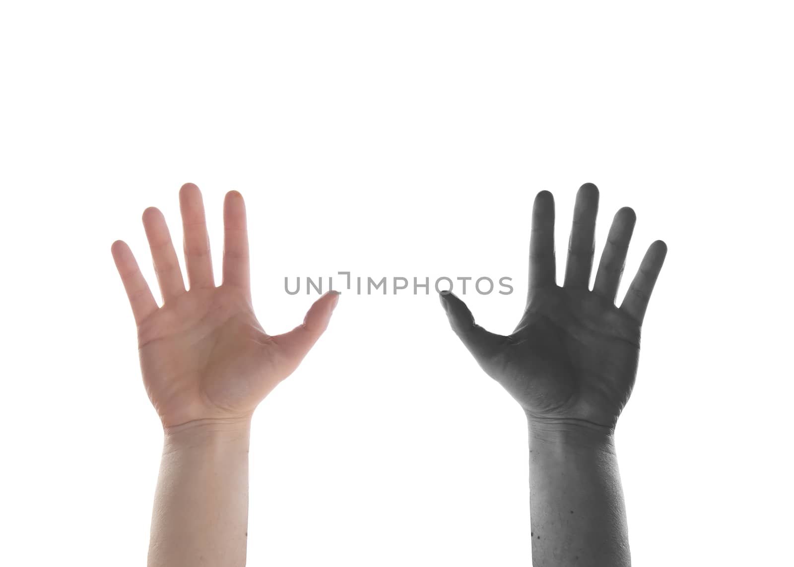 black and white hands on white background