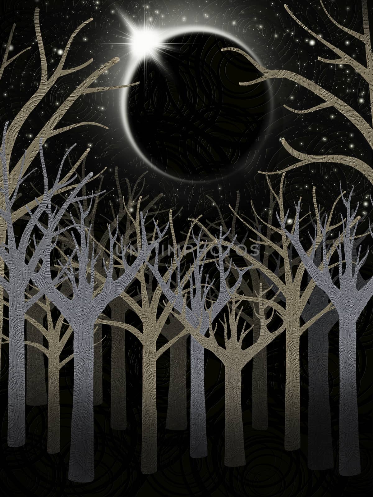 scary forest in the night by sette