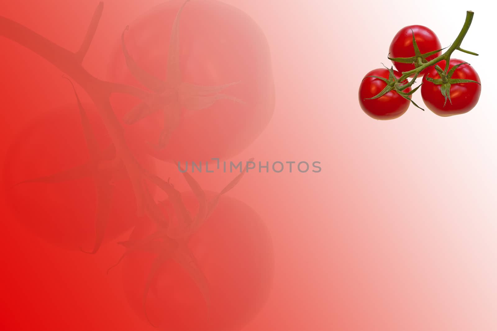 thre eripe  tomatoes on red abstract background