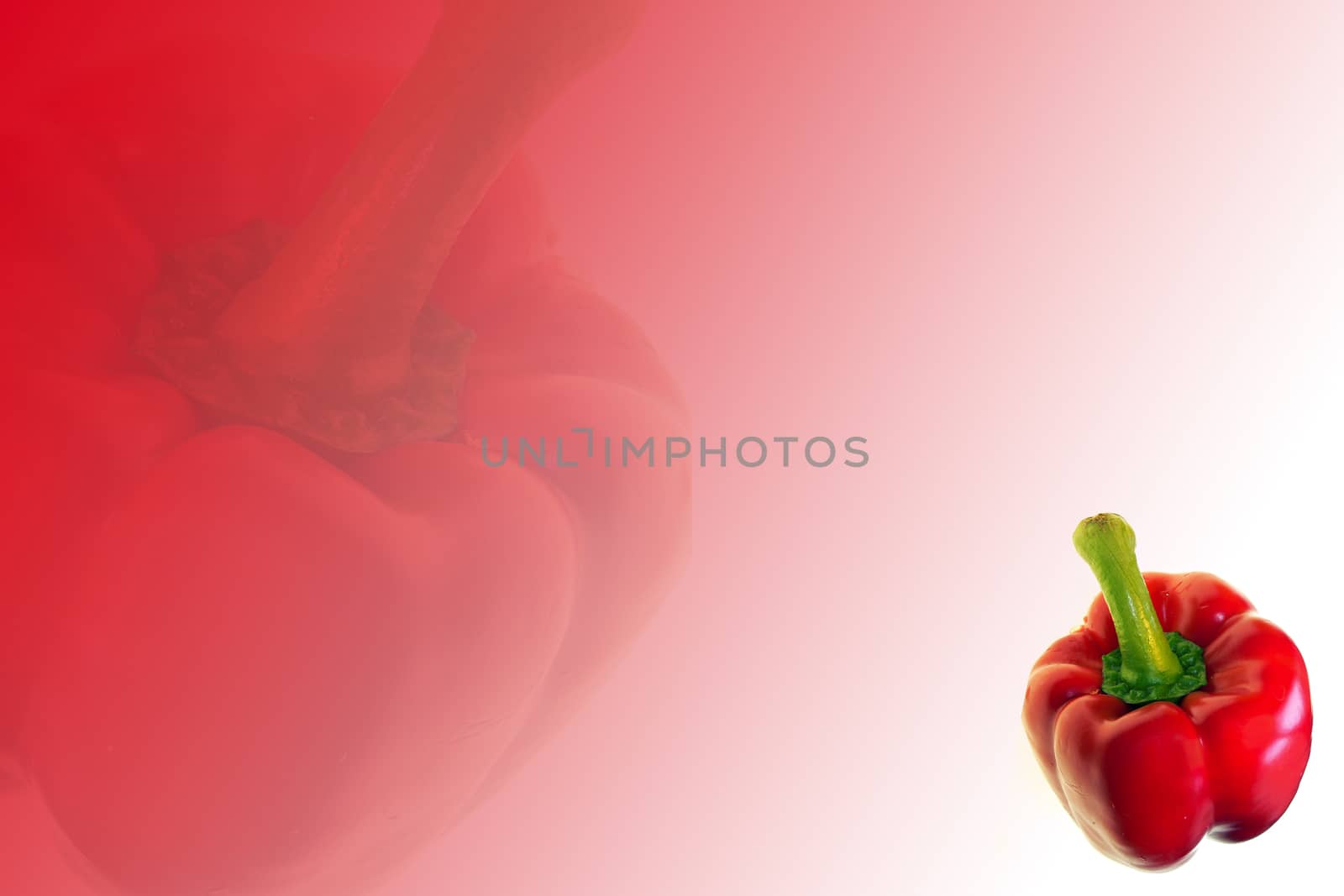 red ripe pepper on red background