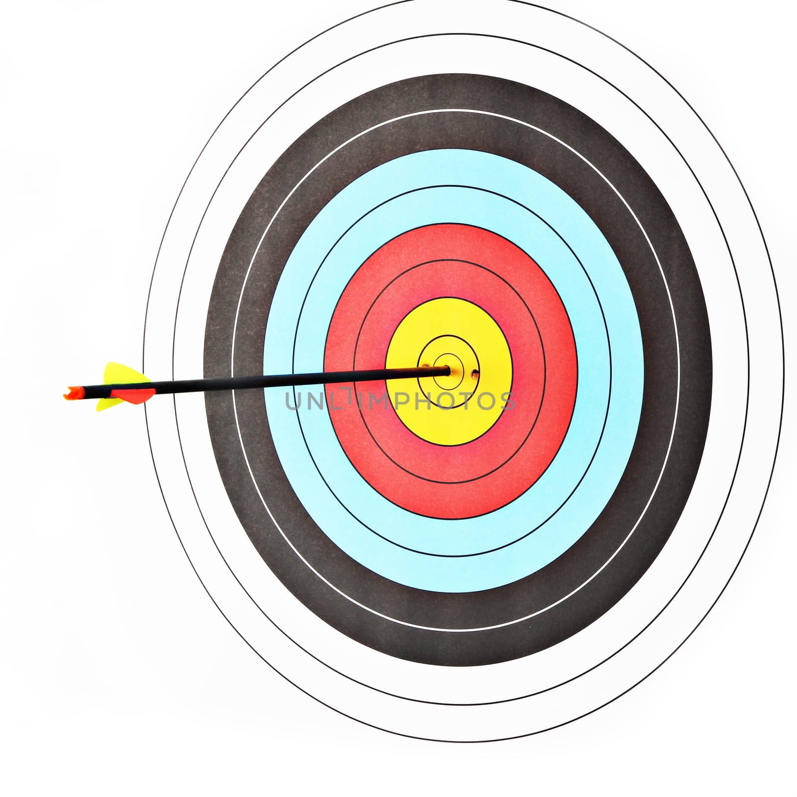 Archery target with arrow on white background