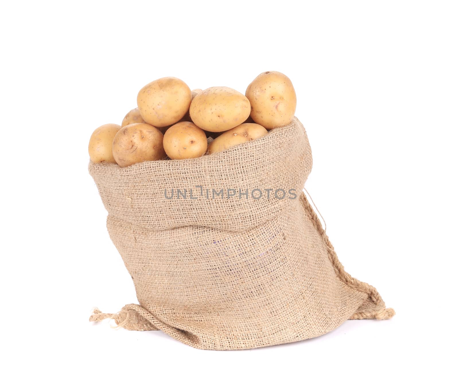 Ripe potatoes in burlap sack. Isolated on a white background.