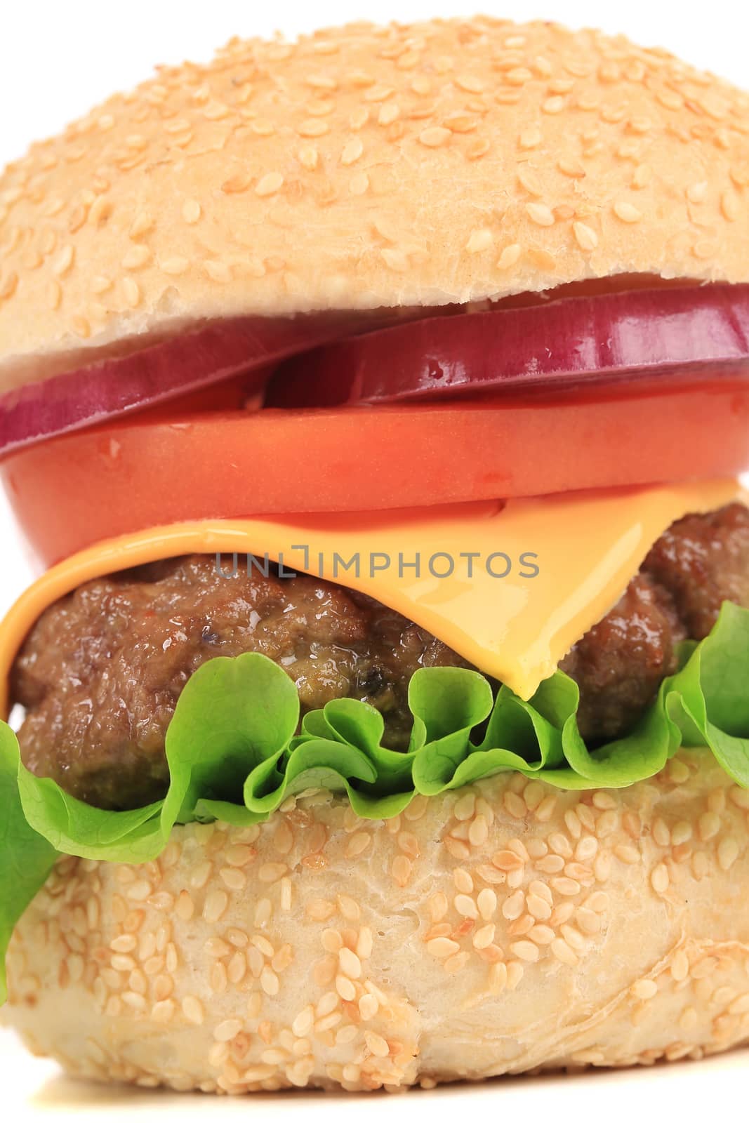 Tasty cheeseburger close-up. Isolated on a white background.