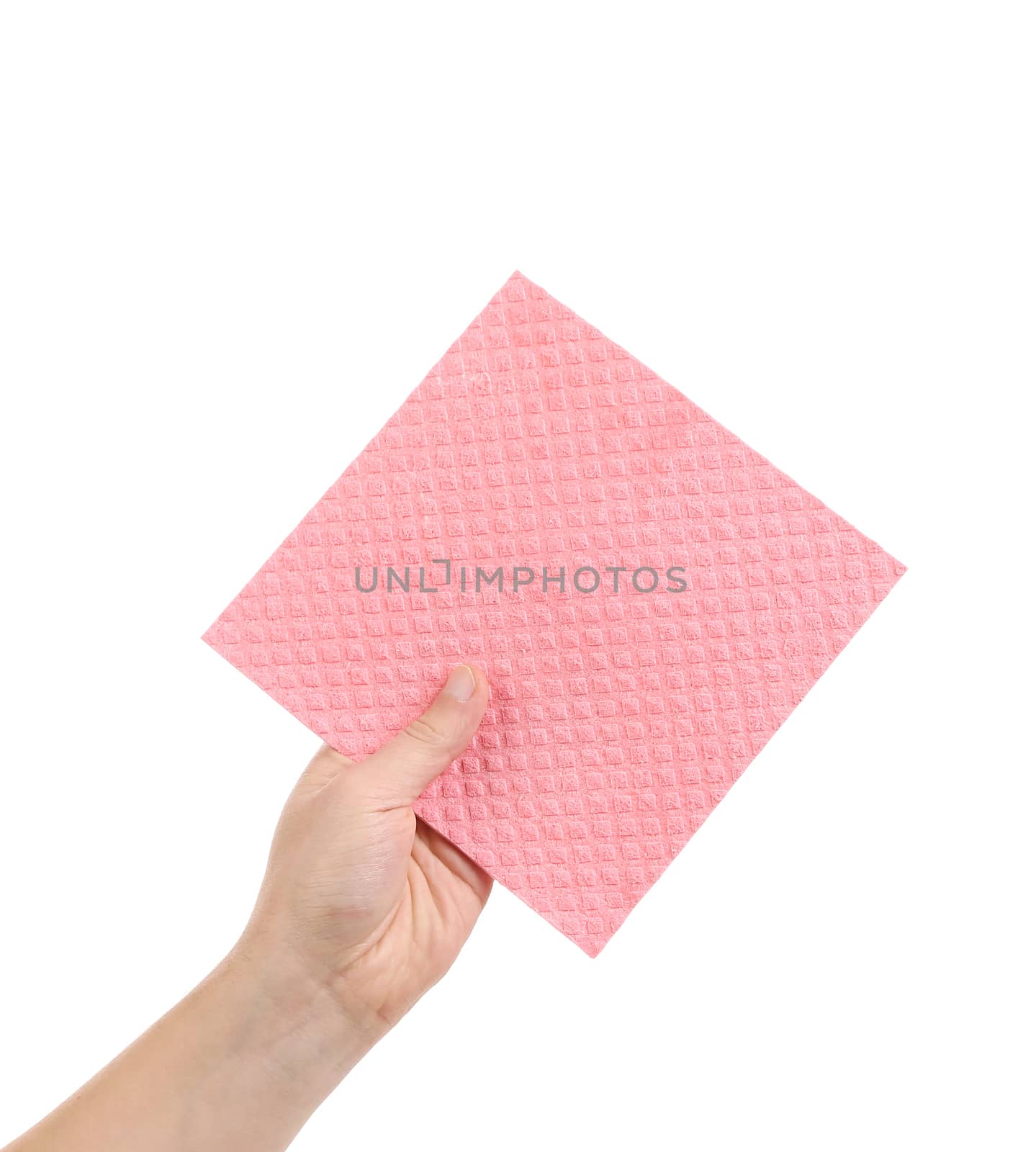 Hand holds pink cleaning sponge.  Isolated on a white background.