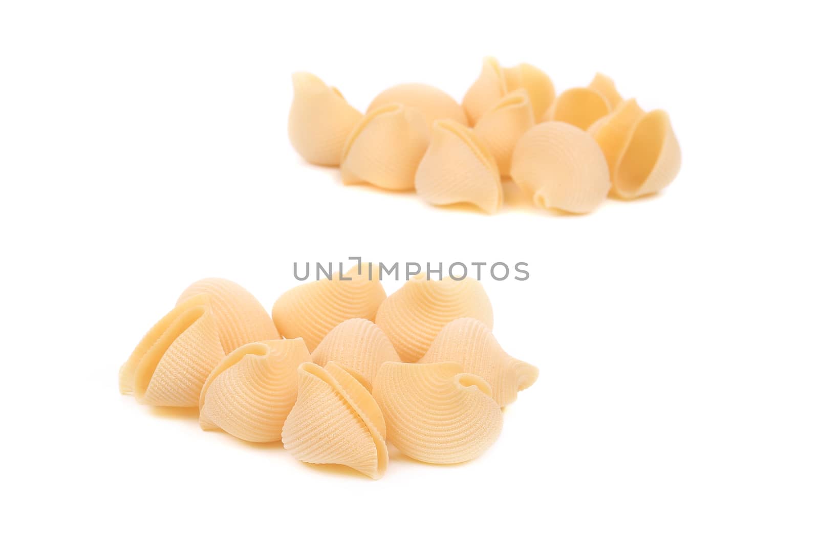 Uncooked pasta lumaconi. Isolated on a white background.