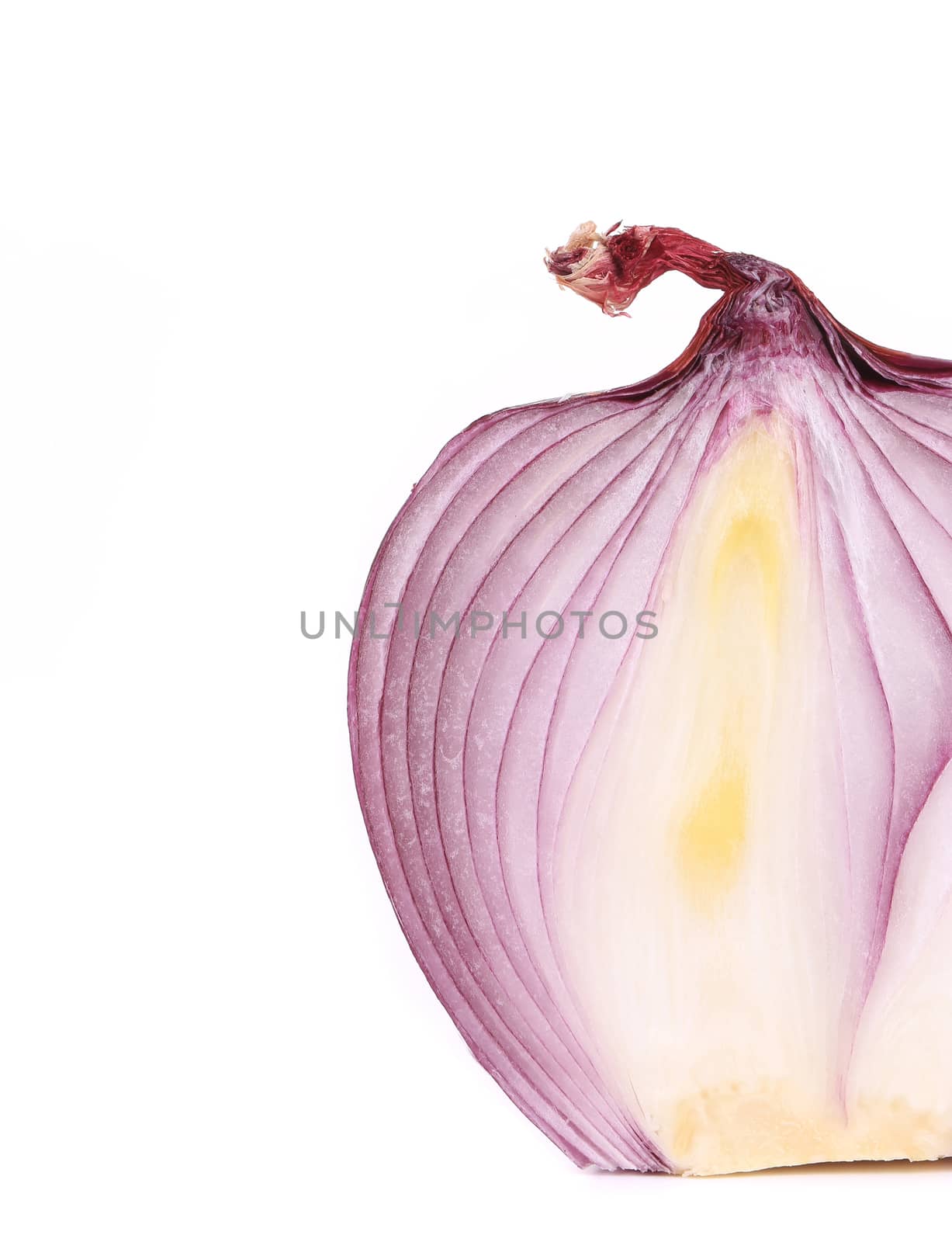 Cut red onion. Isolated on a white background.