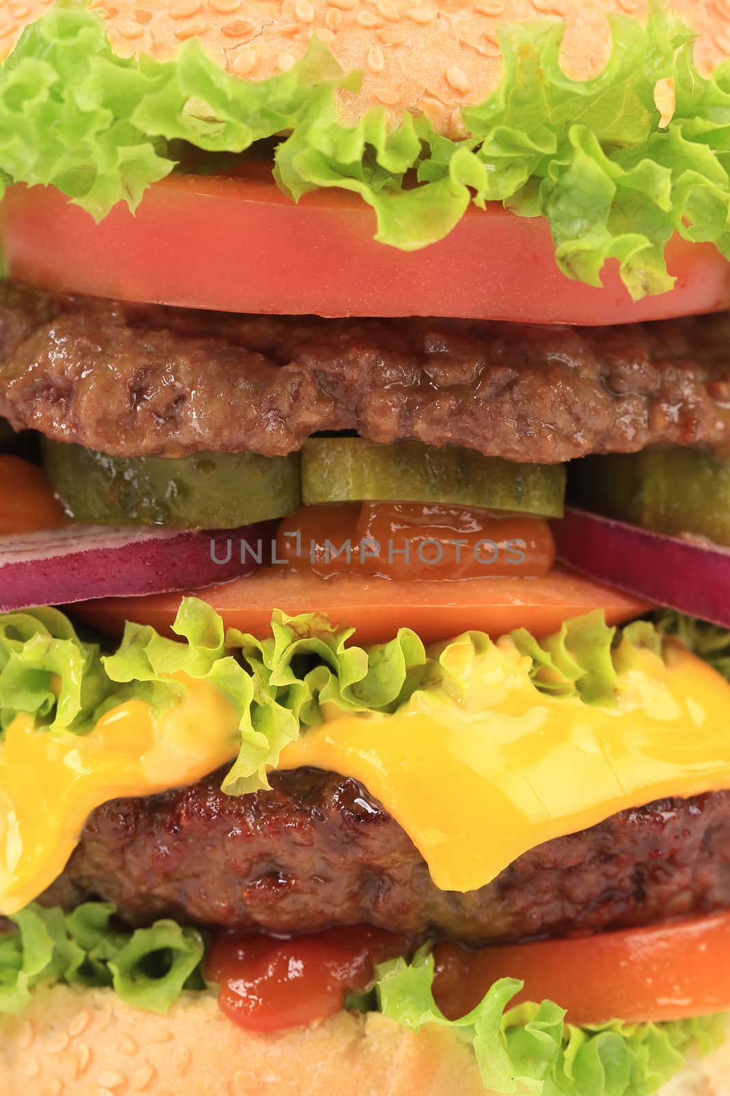 Closeup of cheeseburger. Isolated on a white background.