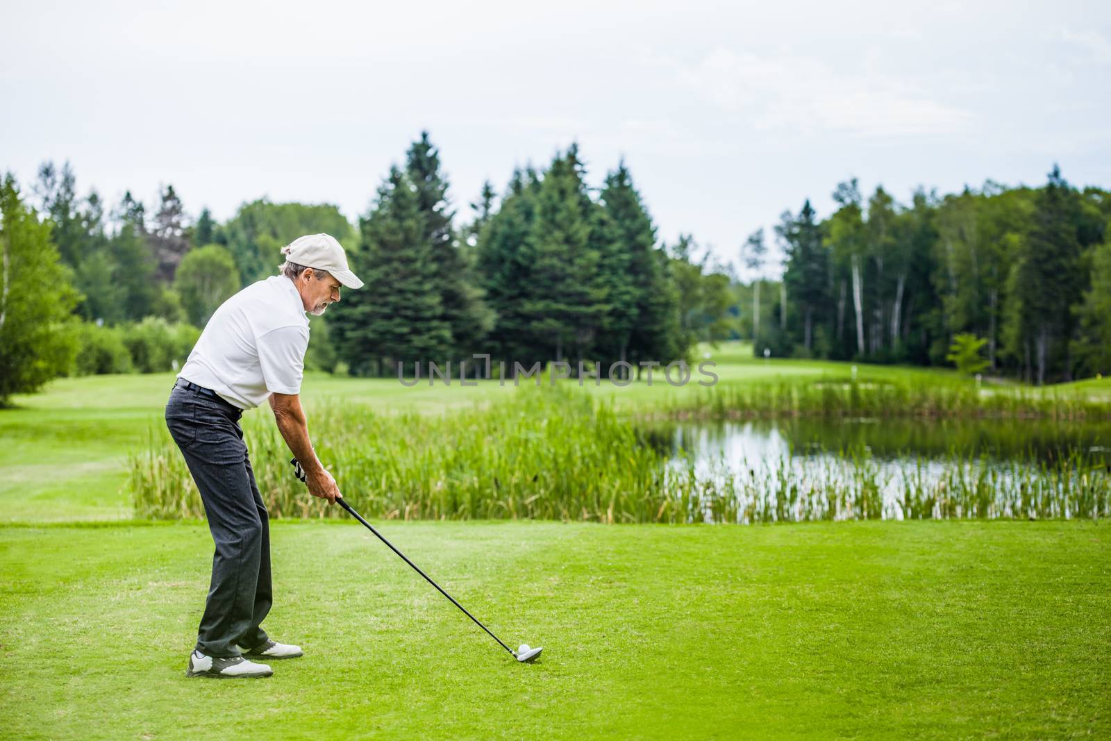 Mature Golfer on a Golf Course by aetb