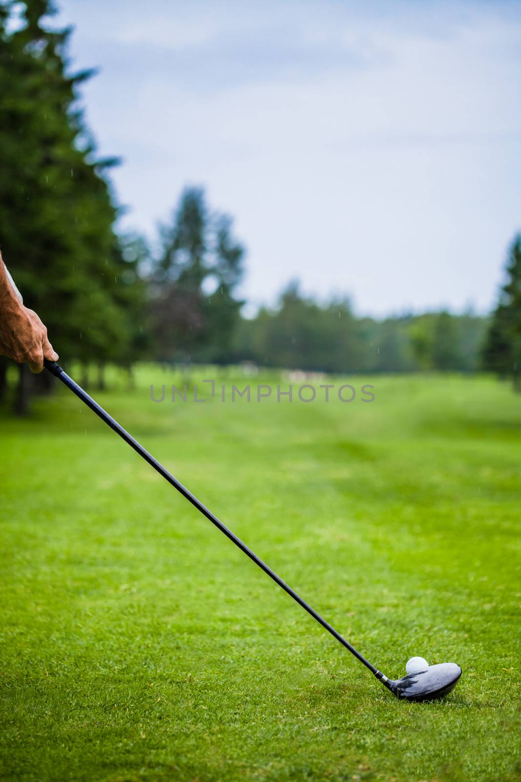 Golfer on a Golf Course on the Start with lot of Copyspace for your text (preparation)