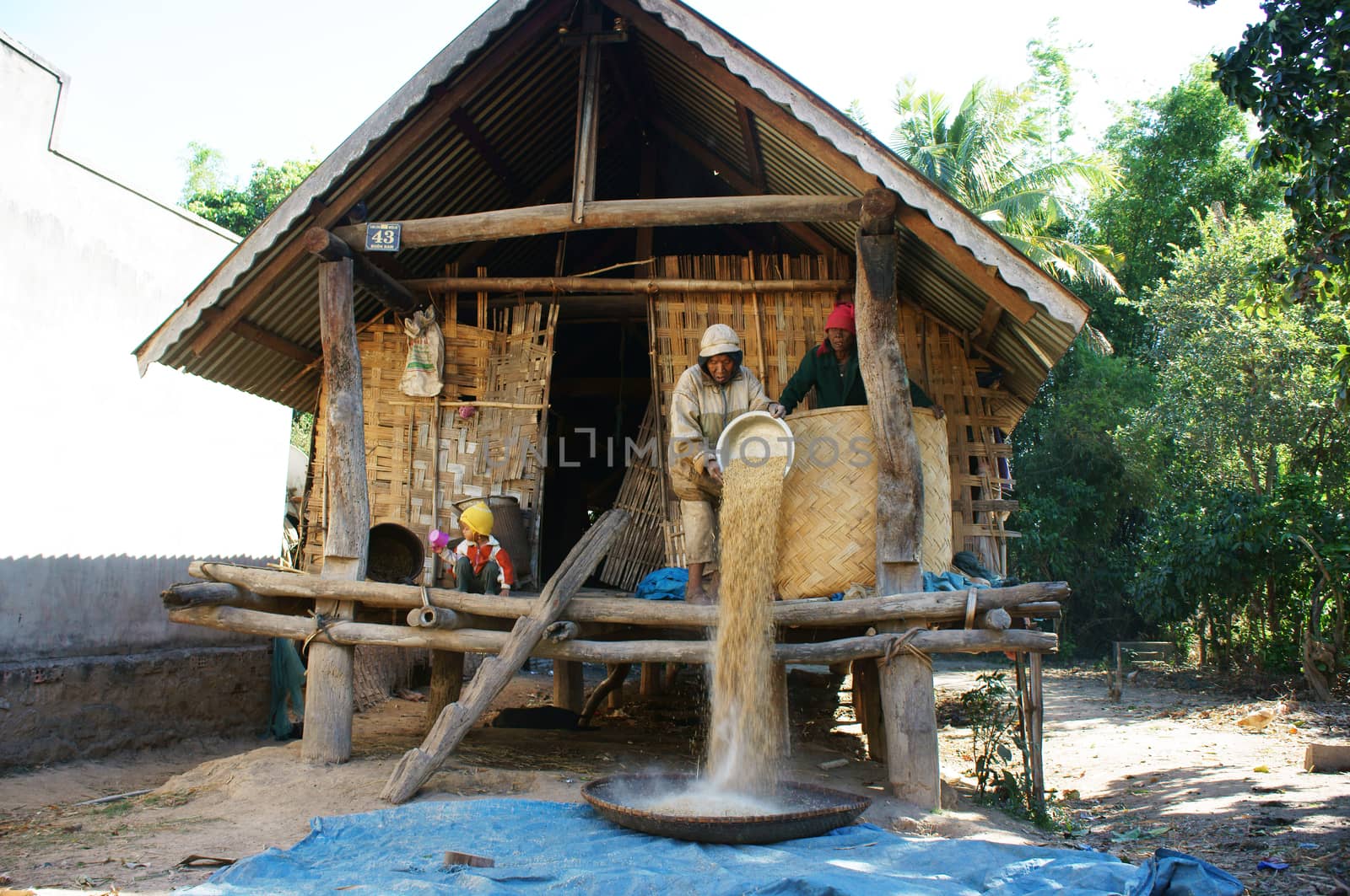 DAKLAK, VIET NAM- DECEMBER 31: Farmer winnowing rice from their house in stils at countryside, Dalak, viet Nam, December 31, 2012     