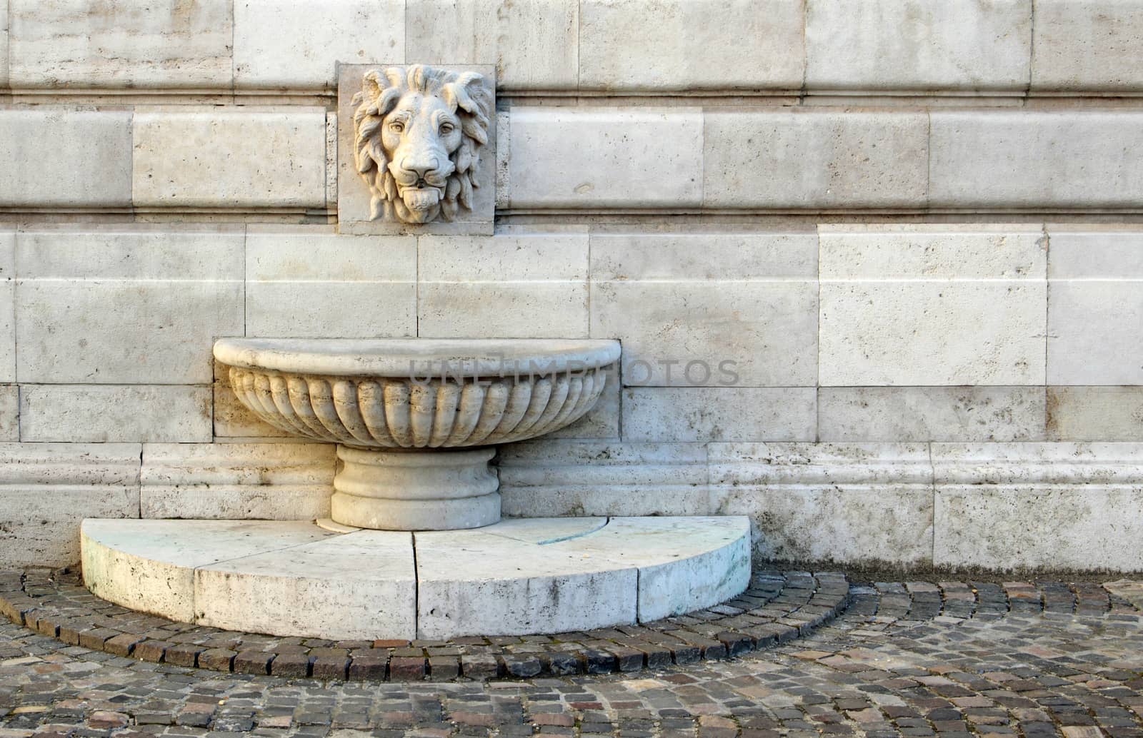 Old medieval wall fountain statue of a lion.