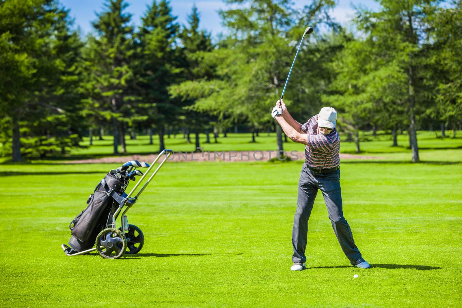 Mature Golfer on a Golf Course Taking a Swing in the Fairway