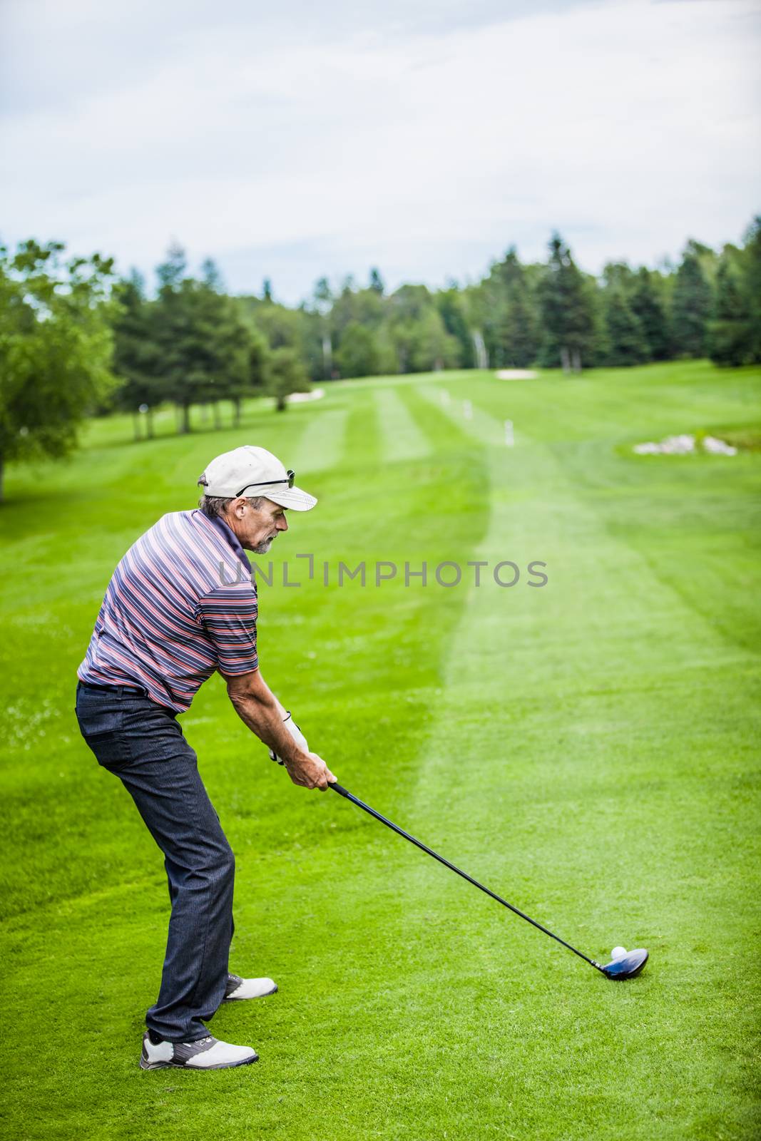 Mature Golfer on a Golf Course (ready to swing)