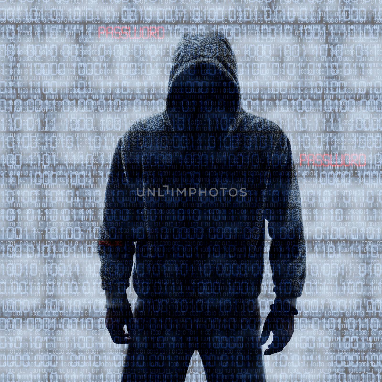 Hackey in Silhouette and Binary codes background