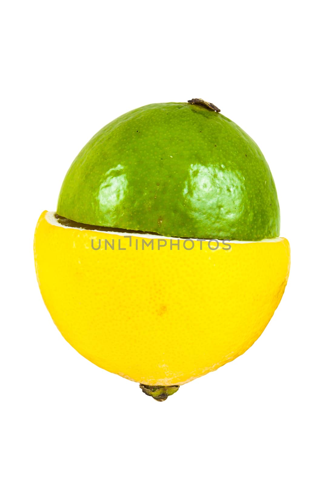 Halves of lemon and lime fruits isolated on white background with clipping path