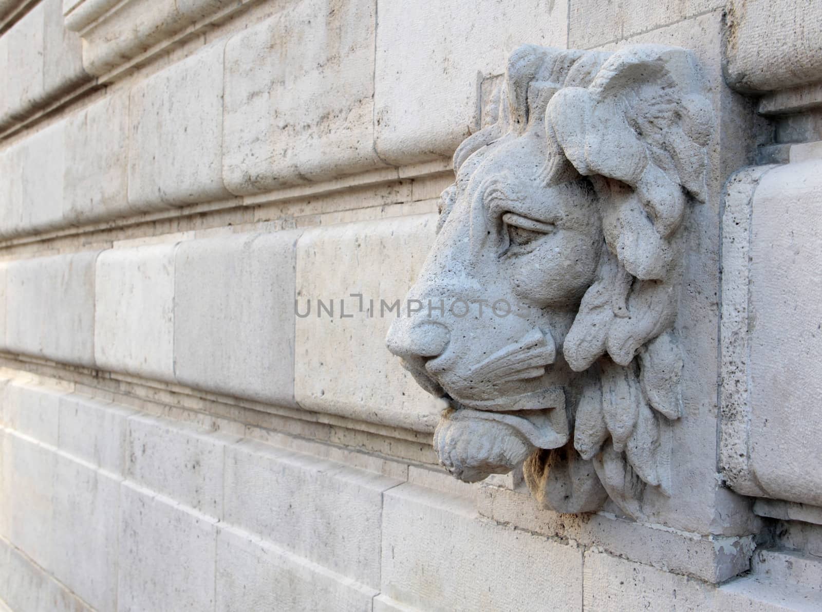 Renaissance building decorated stone lion in the Buda Castle.