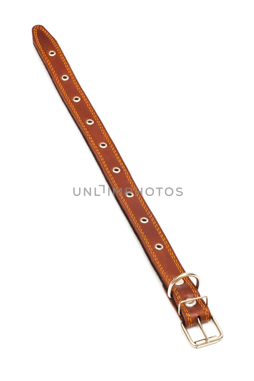 Leather dog collar on a white background