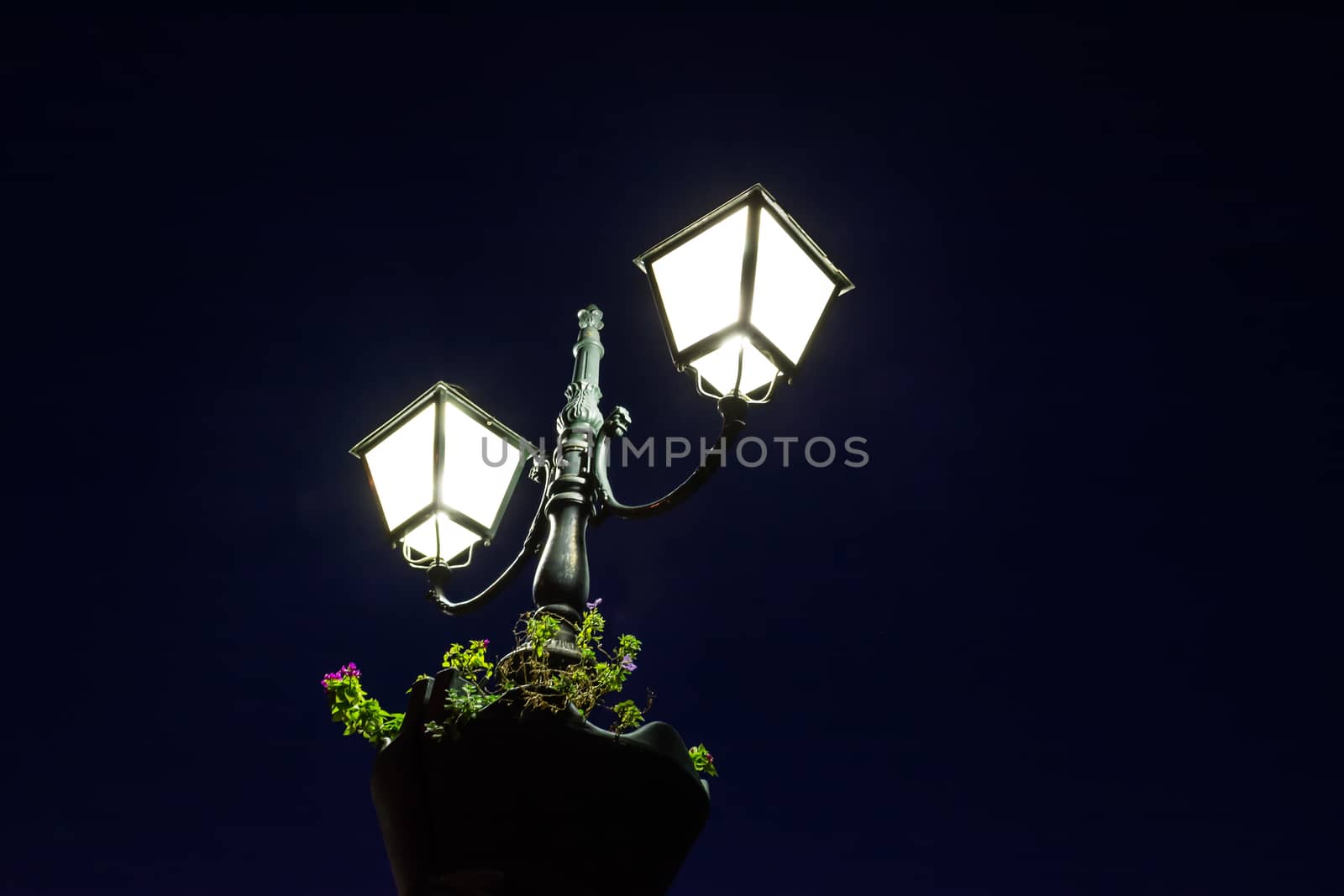 Old fashioned street lamp at night with flowers