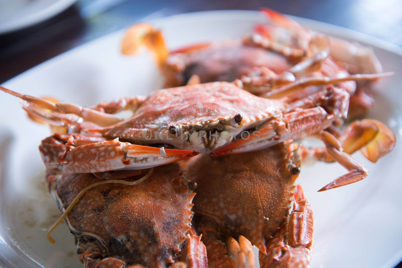 Close-up steamed blue crabs