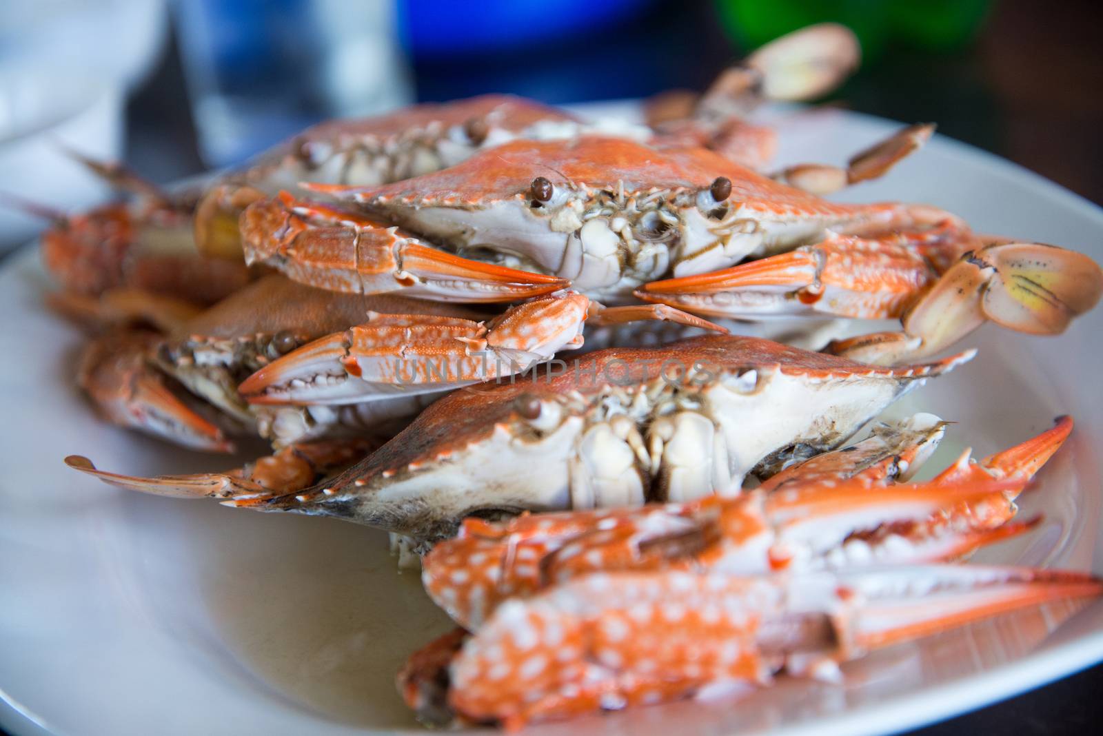 Close-up steamed blue crabs by jakgree