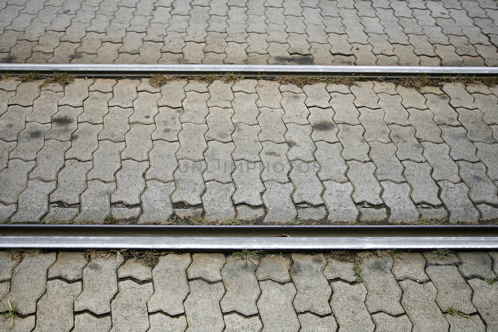 Tram Railway track in a sity