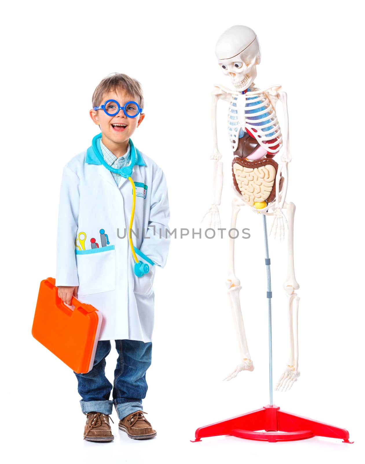 A little smiling doctor with stethoscope and skeleton. Isolated on white background
