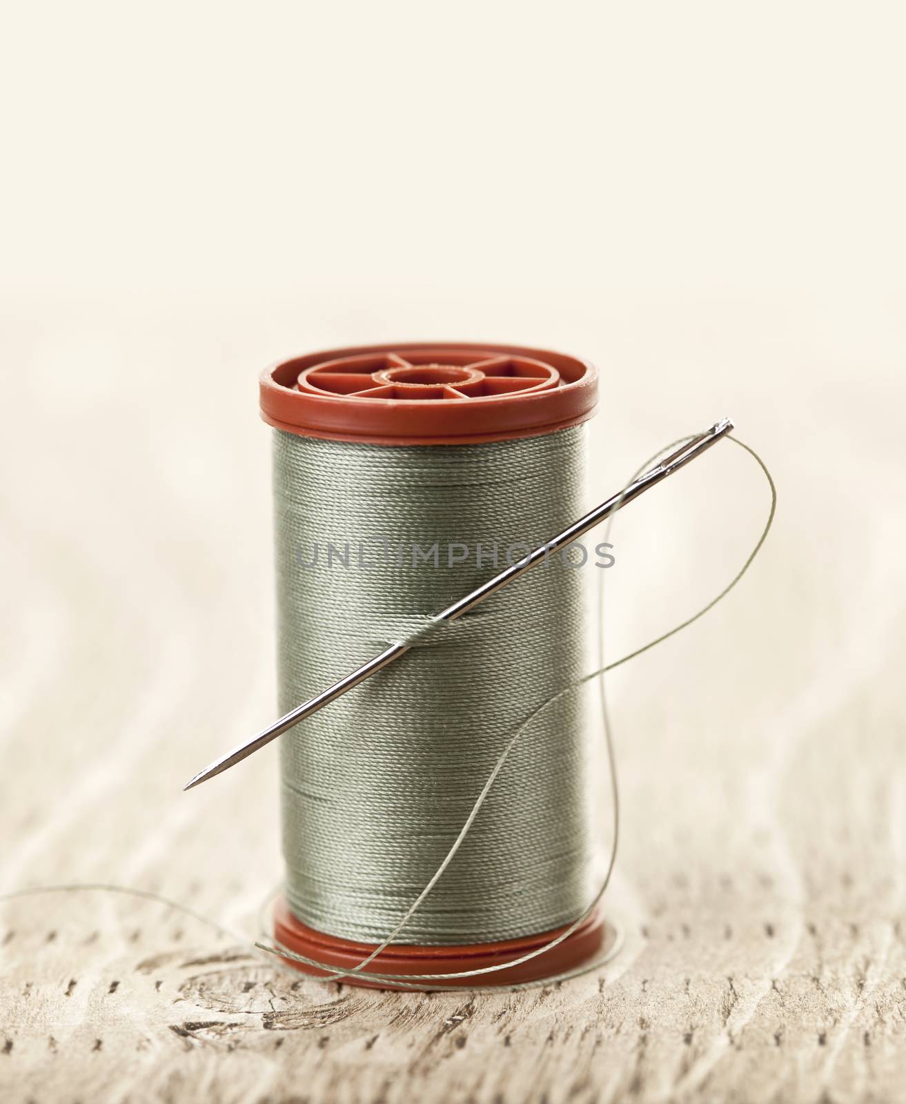 Thread and needle by elenathewise