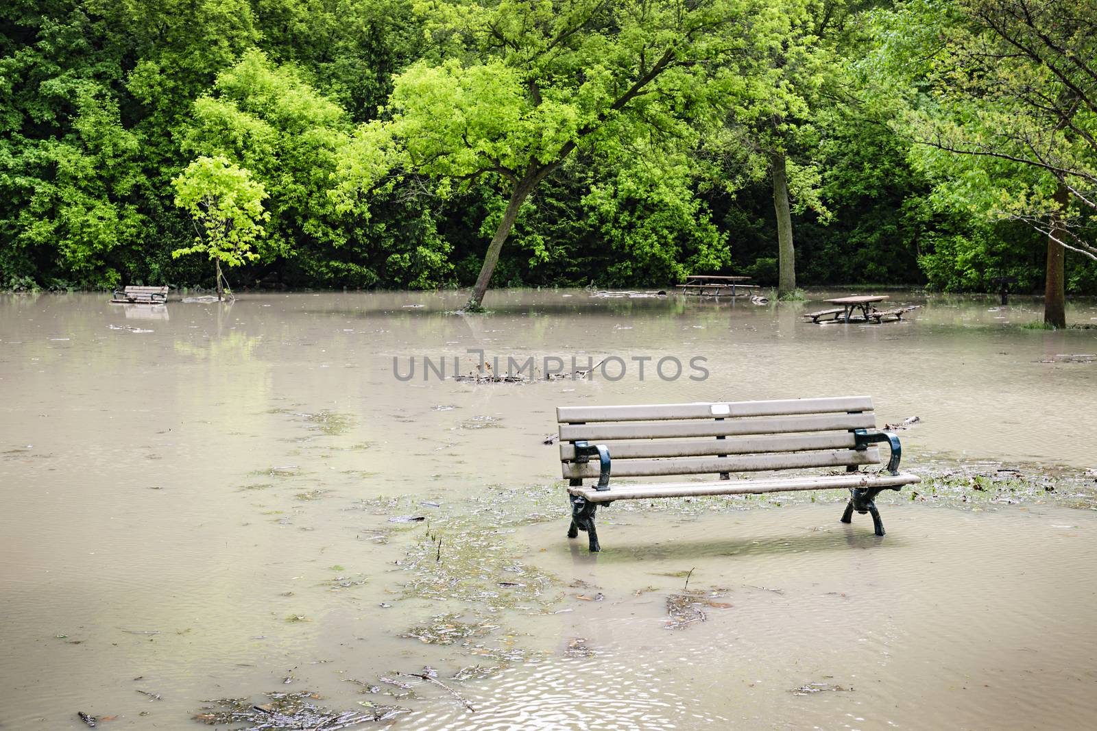 Flood in park by elenathewise